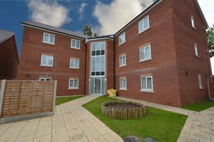 Rear Area- click for photo gallery